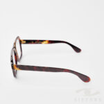 Schilpad Hoorn MO 79 - Afbeelding 2